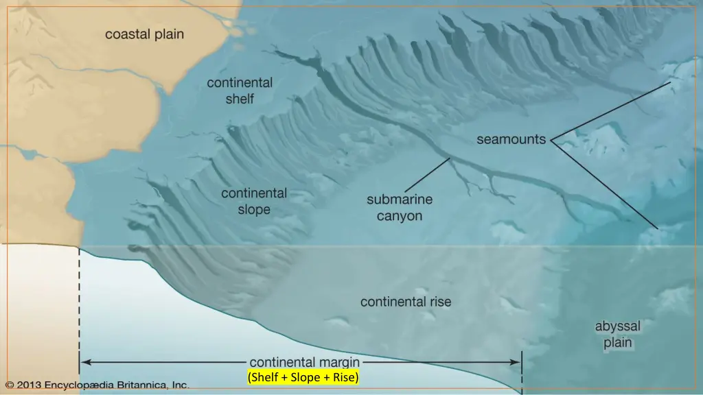 shelf slope rise