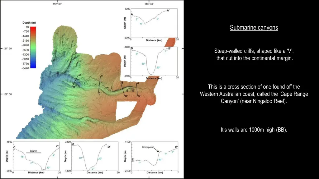 submarine canyons