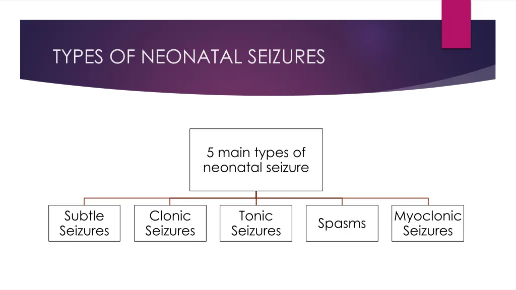 types of neonatal seizures