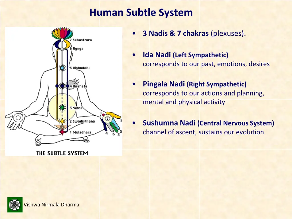 human subtle system