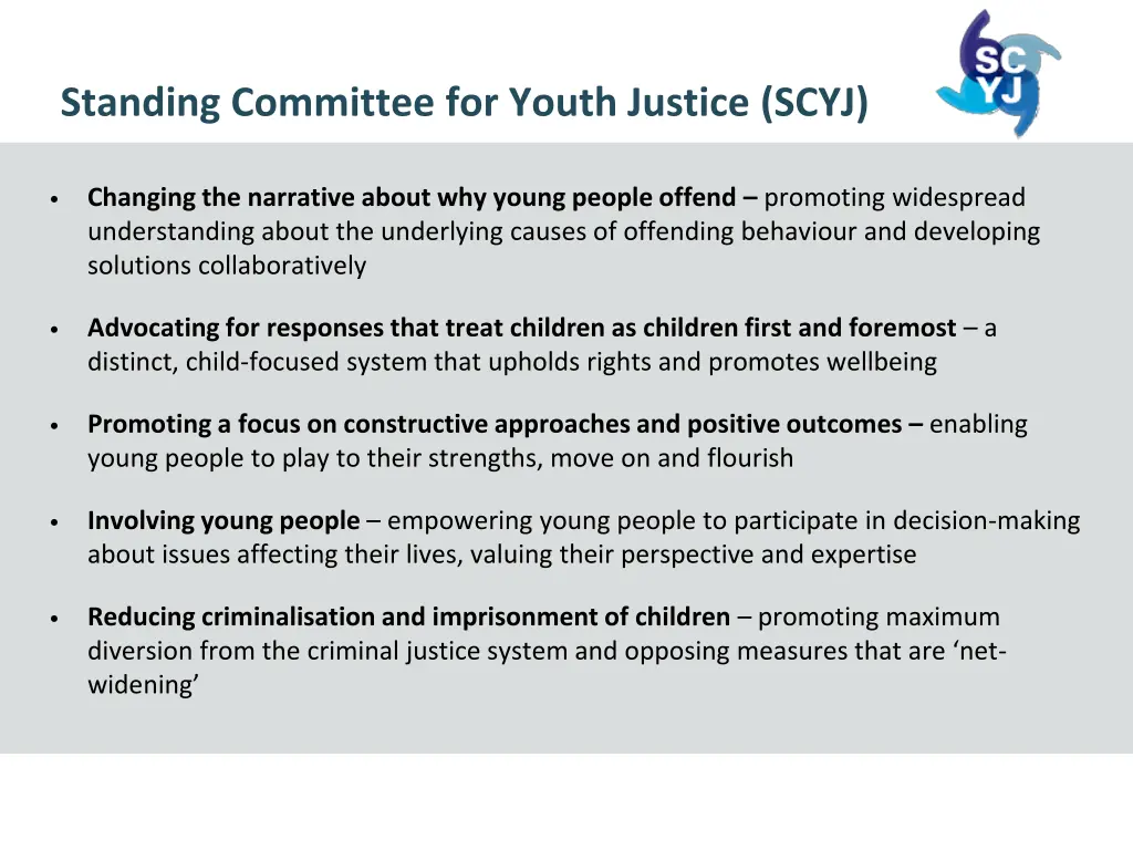 standing committee for youth justice scyj 1