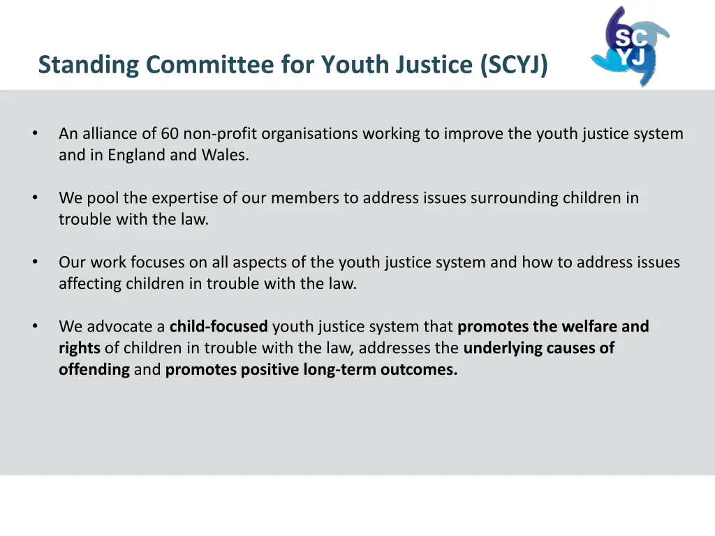 standing committee for youth justice scyj