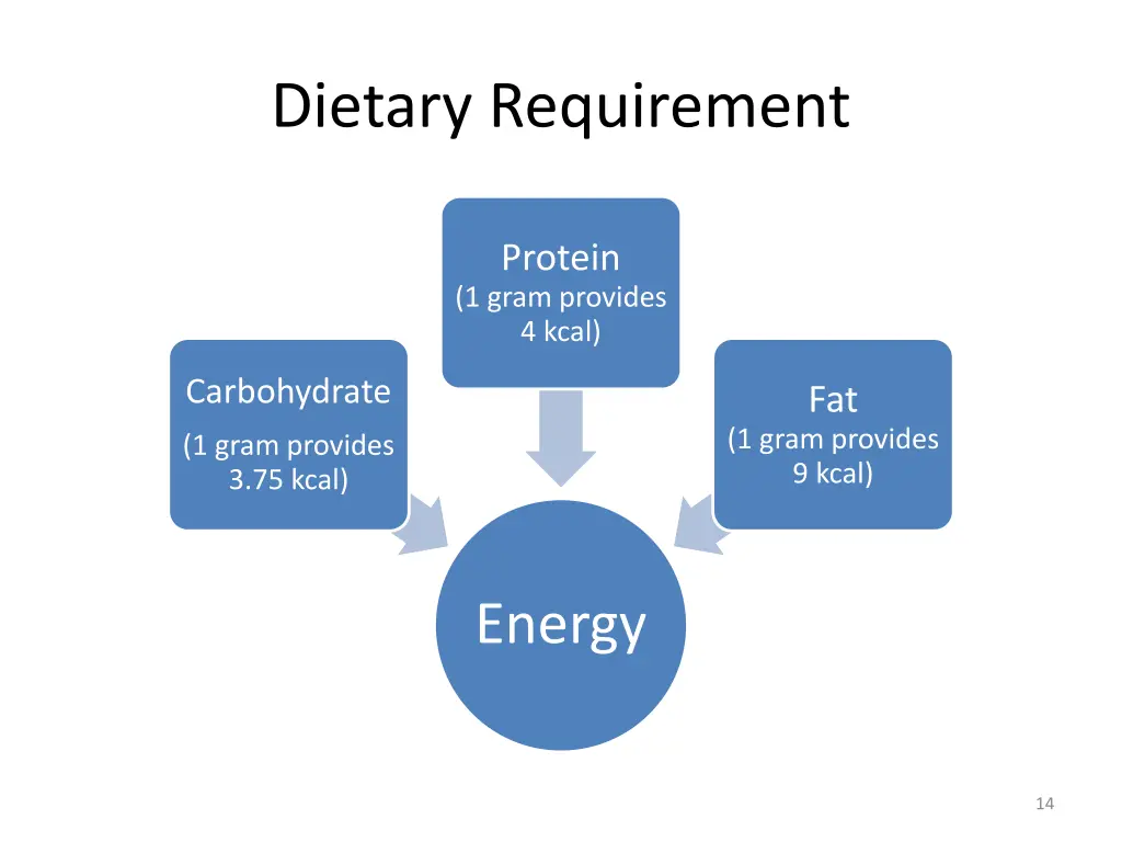 dietary requirement 1