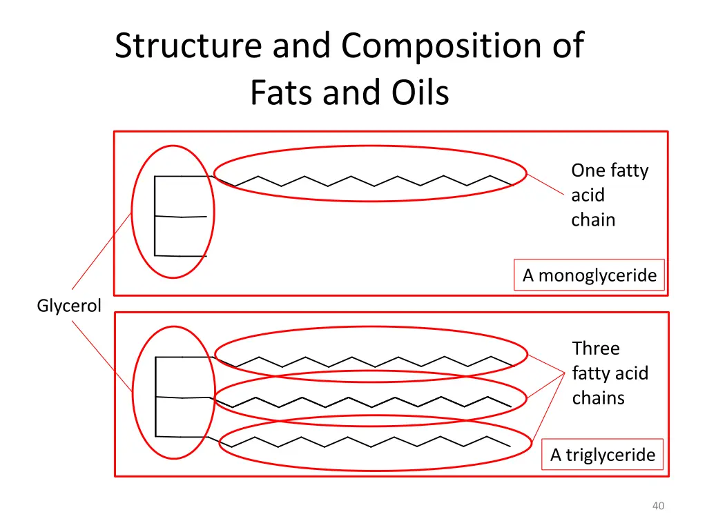 structure and composition of fats and oils 1