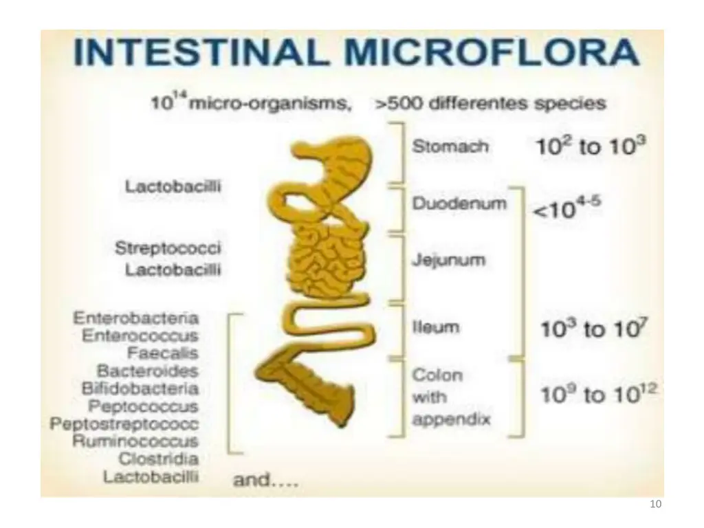 slide11