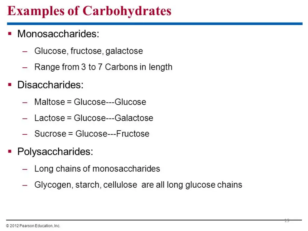 slide20