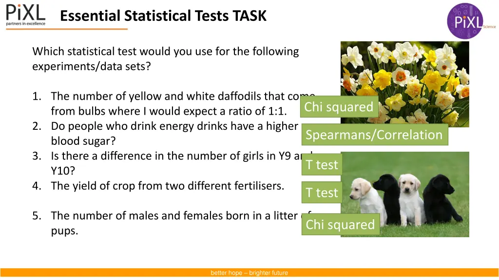 essential statistical tests task 1