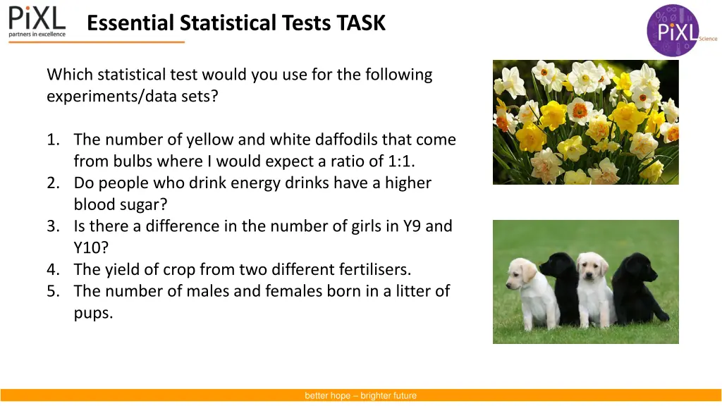 essential statistical tests task