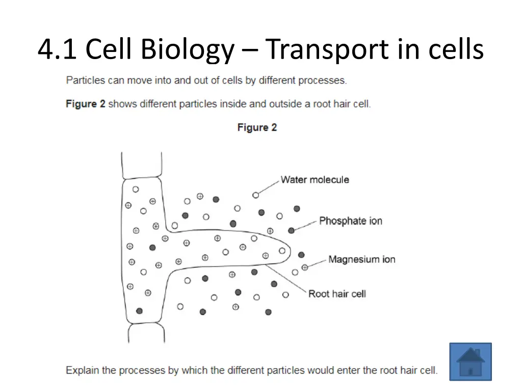 4 1 cell biology transport in cells