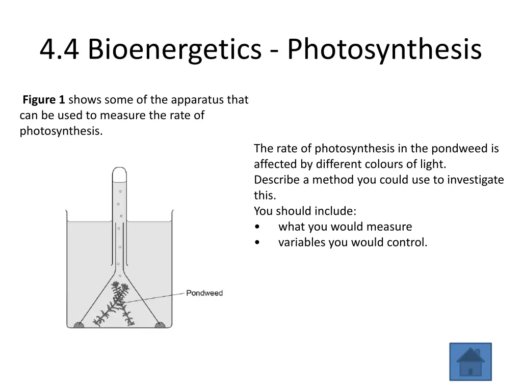 4 4 bioenergetics photosynthesis