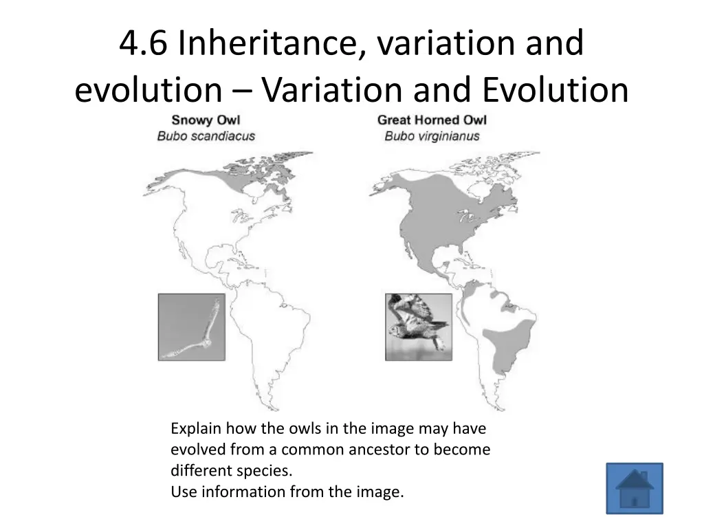 4 6 inheritance variation and evolution variation