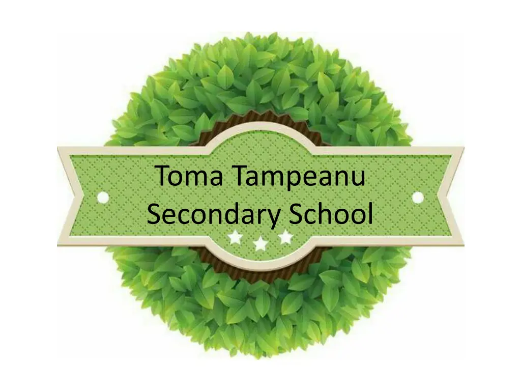 toma tampeanu secondary school