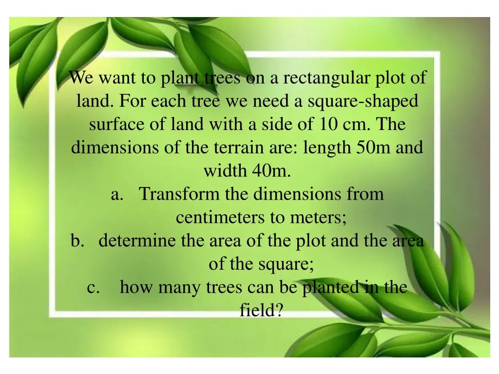 we want to plant trees on a rectangular plot