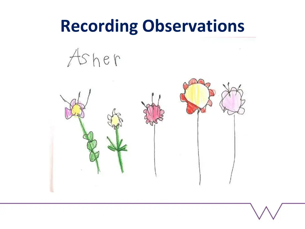 recording observations