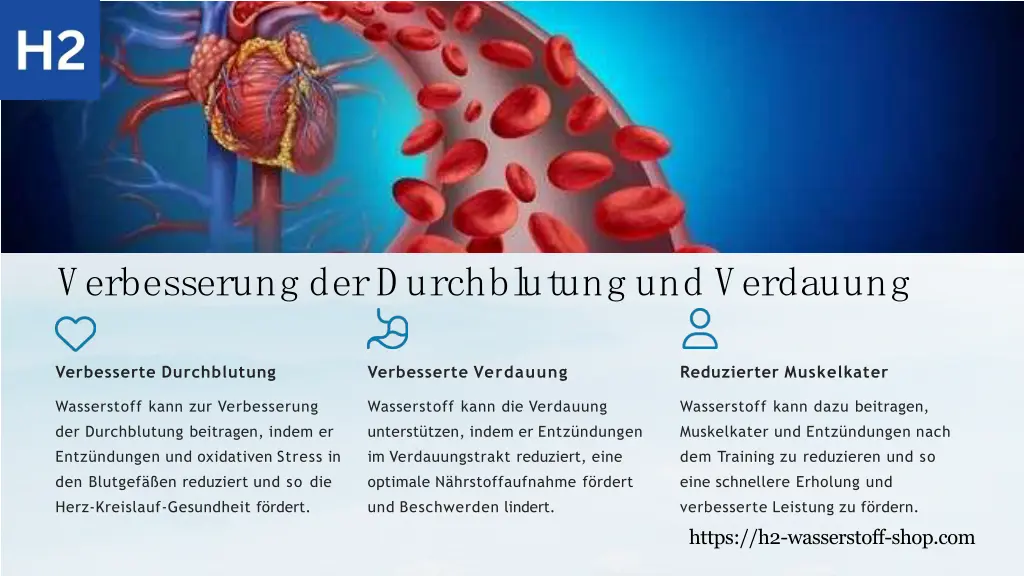 verbesserung derd urchbl utung und verdauung