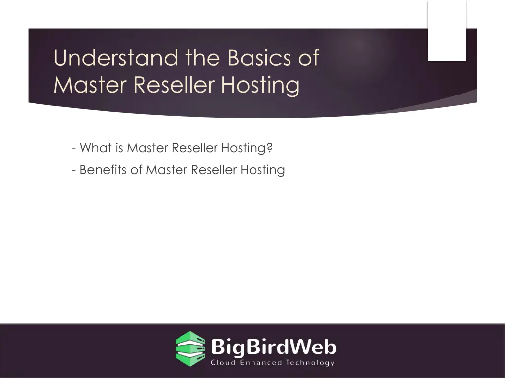 understand the basics of master reseller hosting