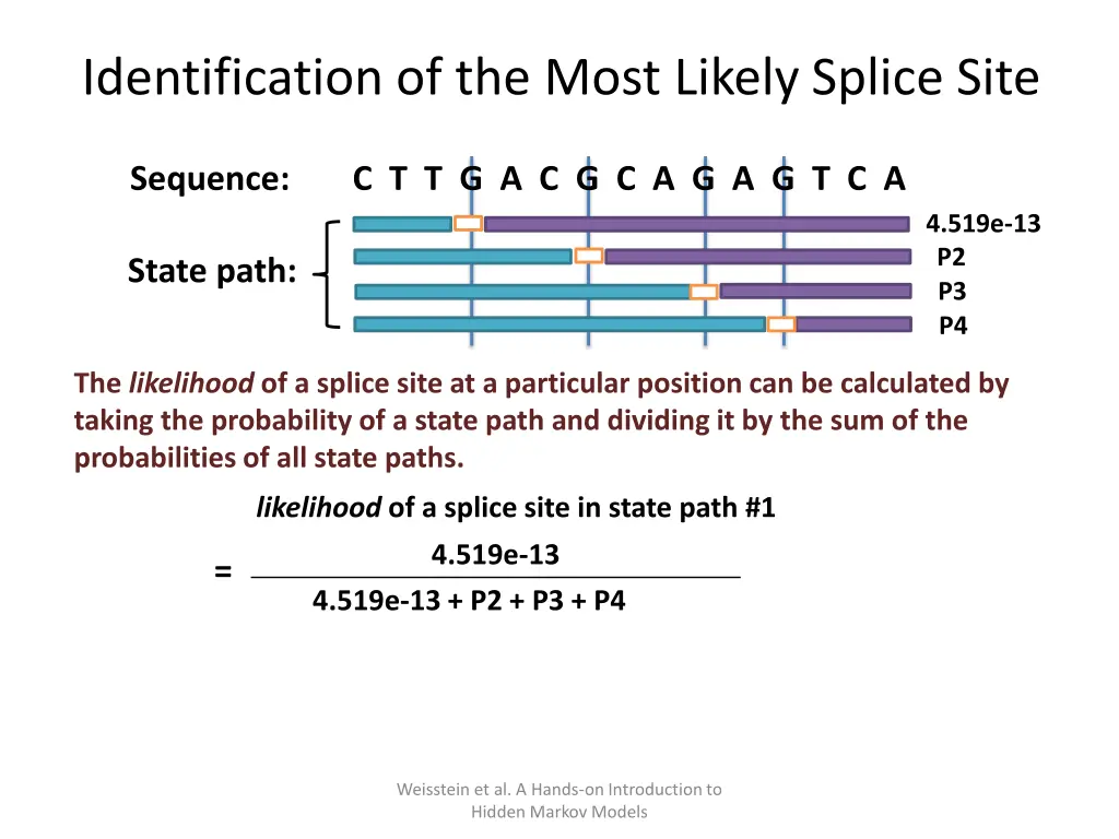 identification of the most likely splice site