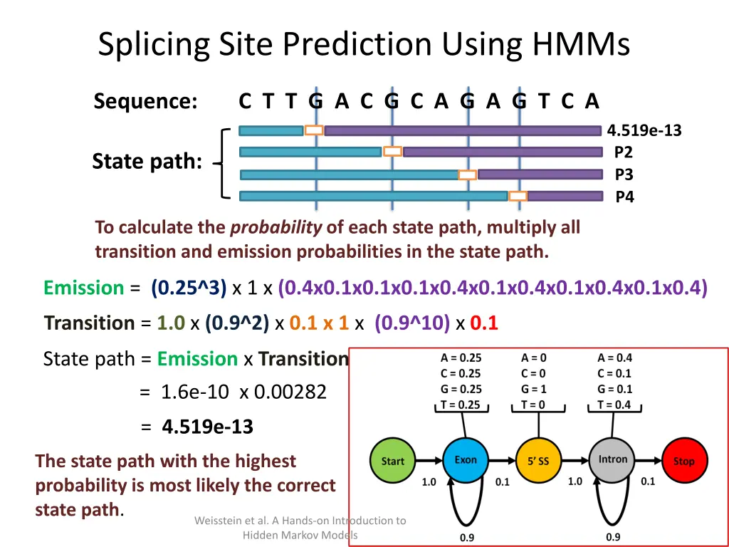 splicing site prediction using hmms