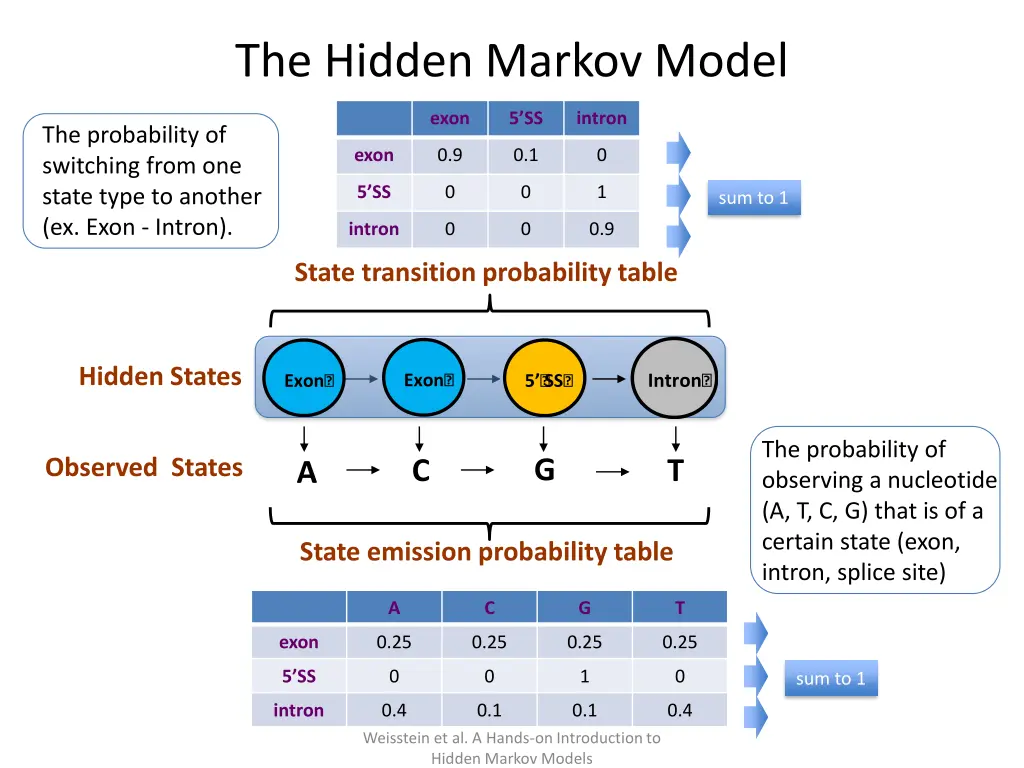 the hidden markov model 2