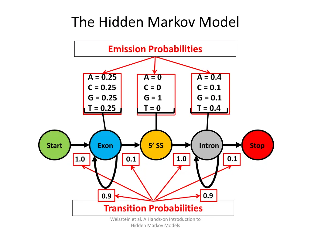 the hidden markov model 3