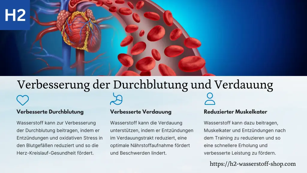 verbesserung der durchblutung und verdauung