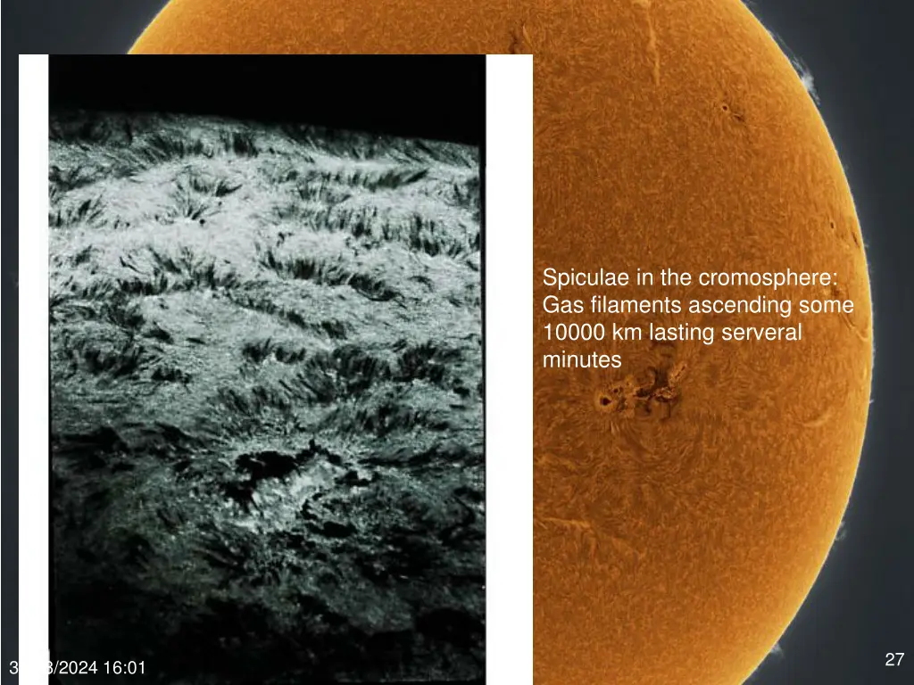 spiculae in the cromosphere gas filaments