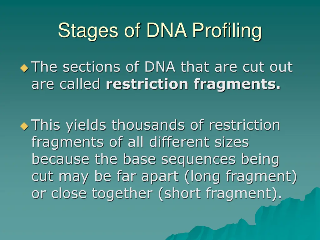 stages of dna profiling 2