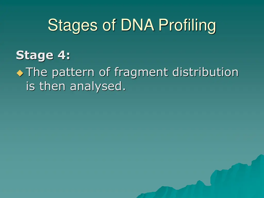 stages of dna profiling 6