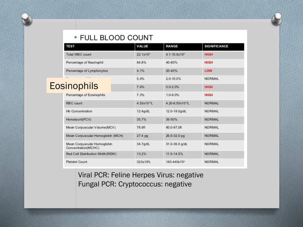 eosinophils