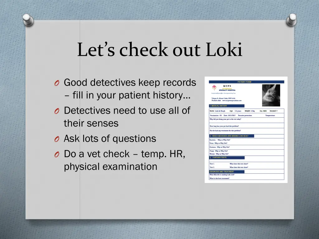 let s check out loki