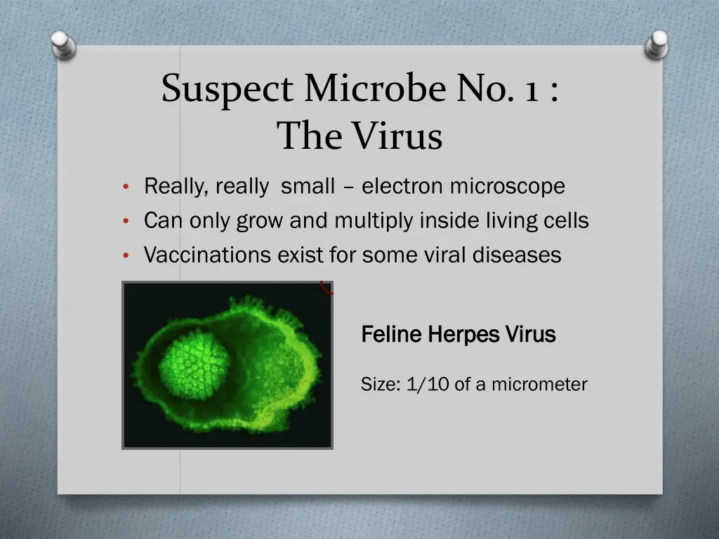 suspect microbe no 1 the virus