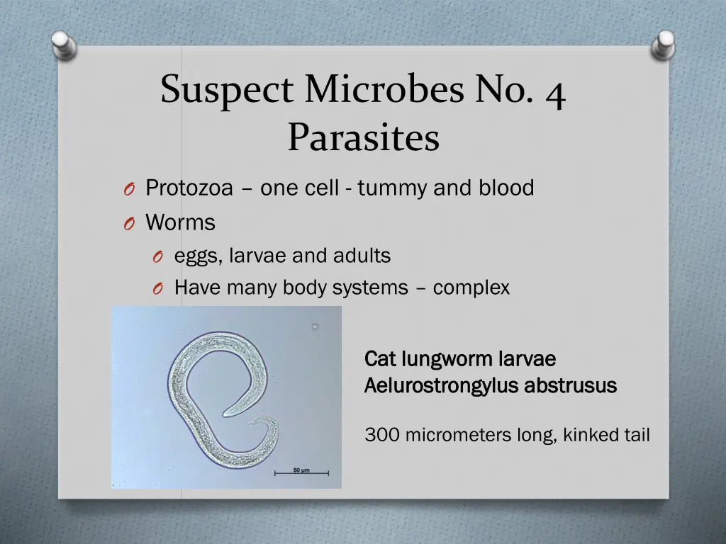 suspect microbes no 4 parasites