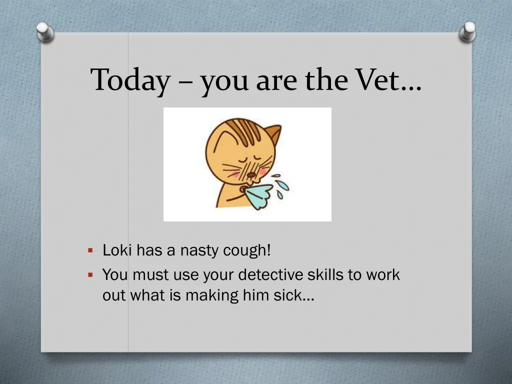 today you are the vet