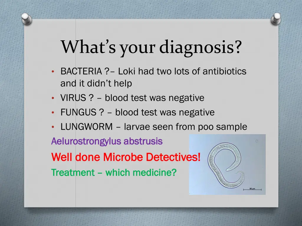 what s your diagnosis