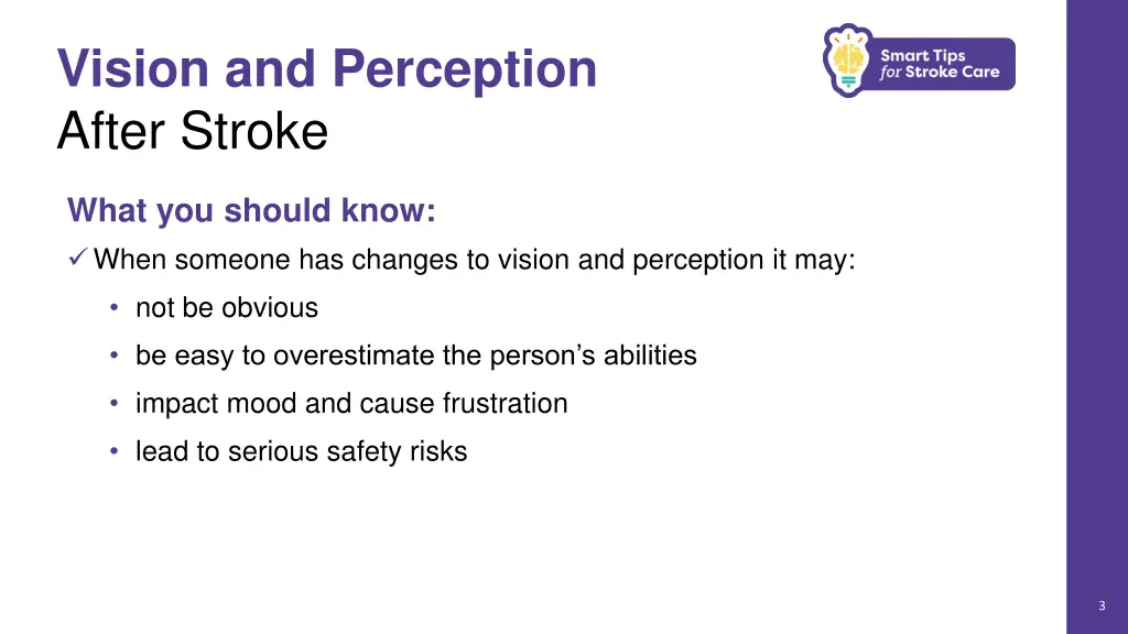 vision and perception after stroke 1