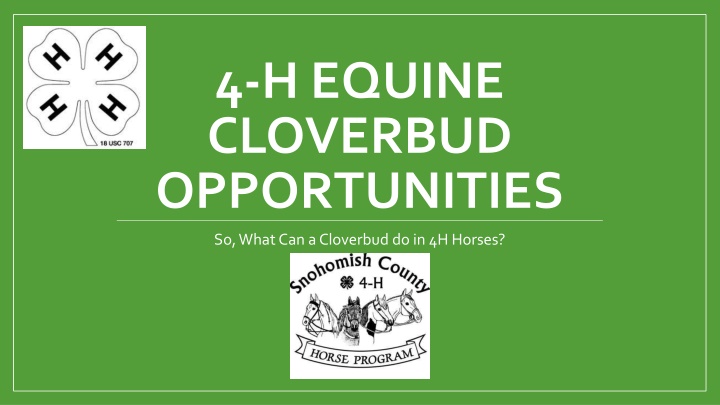 4 h equine cloverbud opportunities