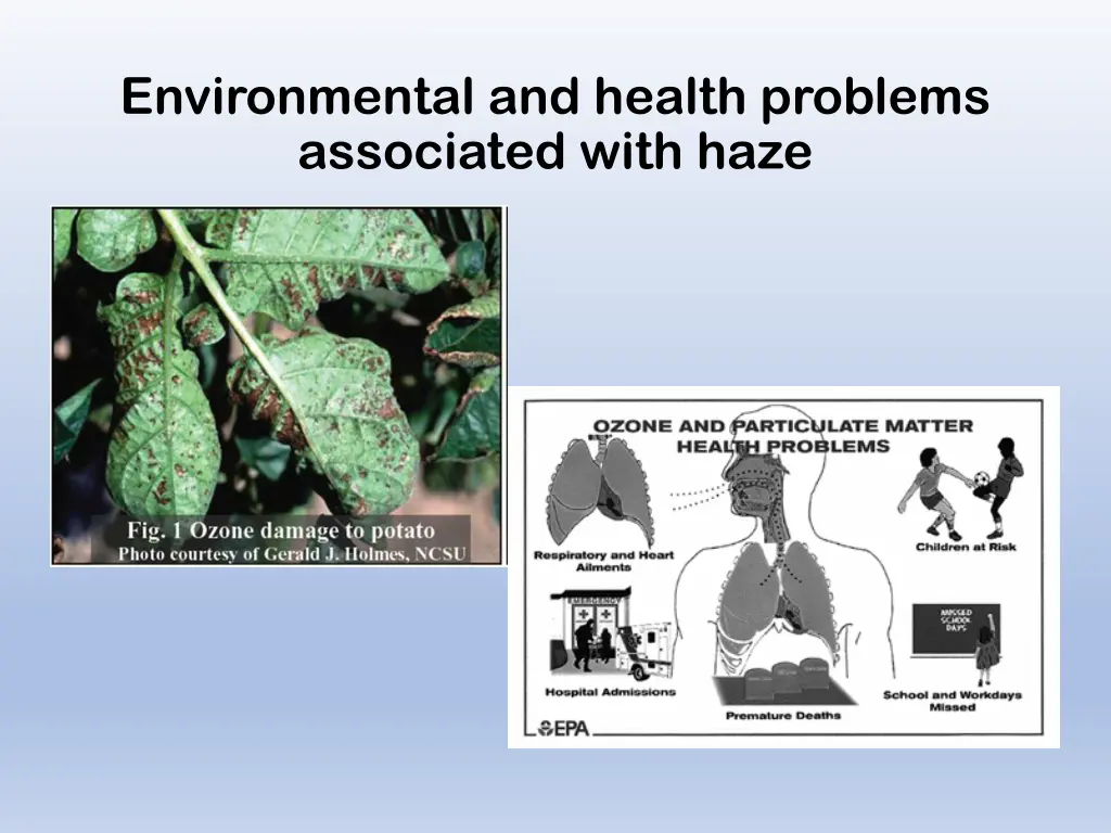 environmental and health problems associated with