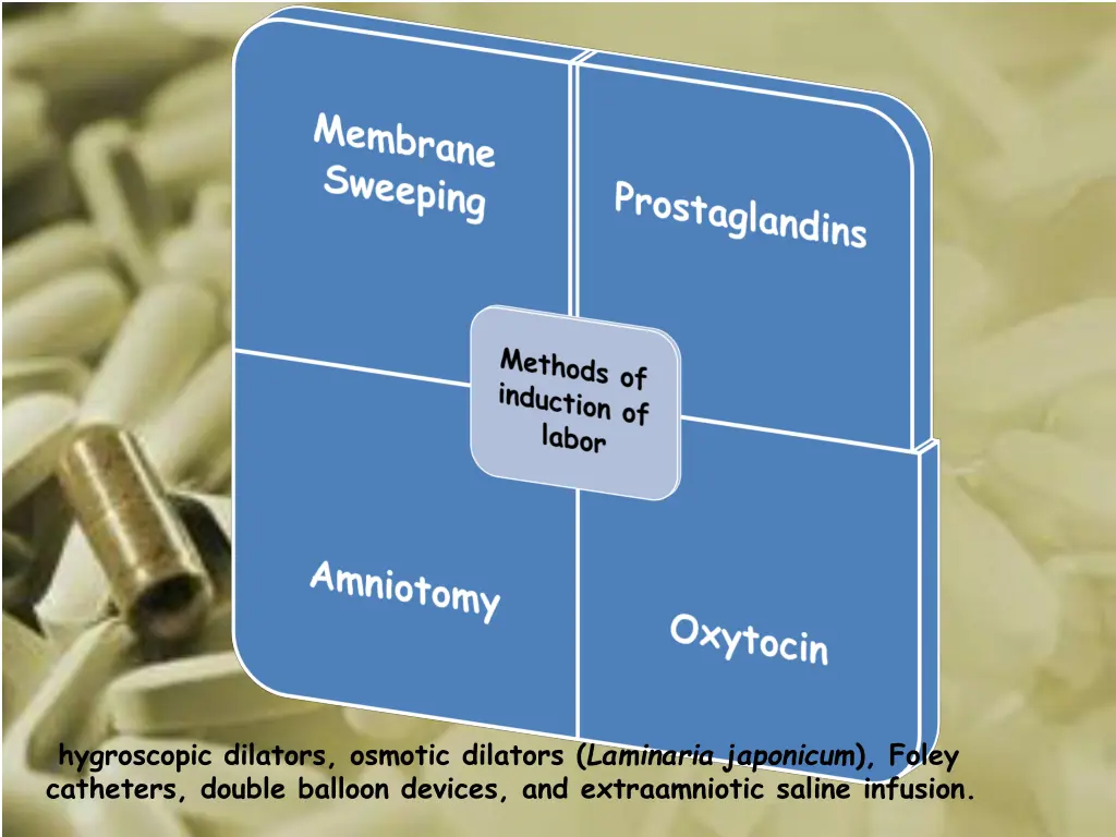 hygroscopic dilators osmotic dilators laminaria