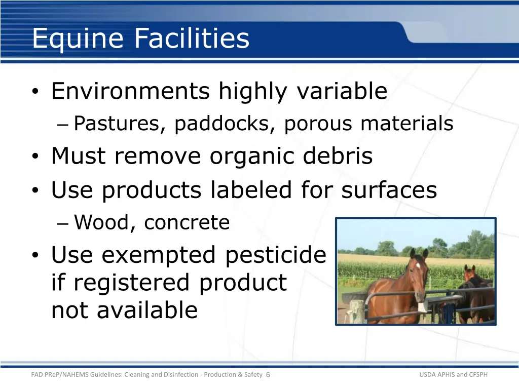 equine facilities