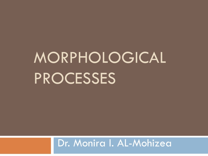 morphological processes