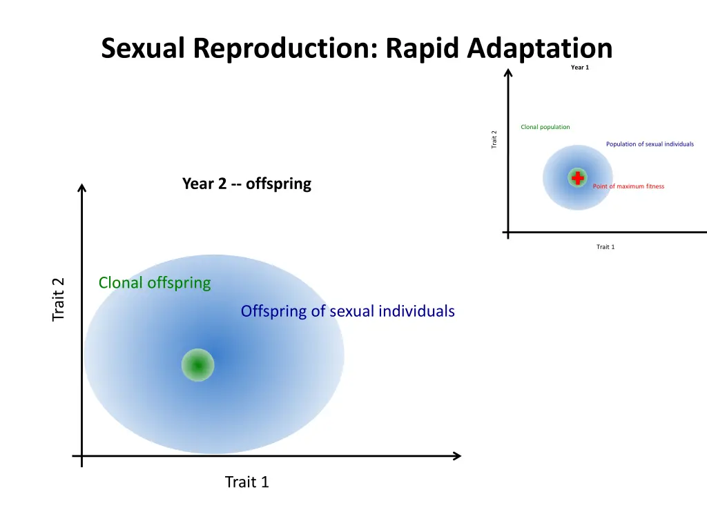 sexual reproduction rapid adaptation 1