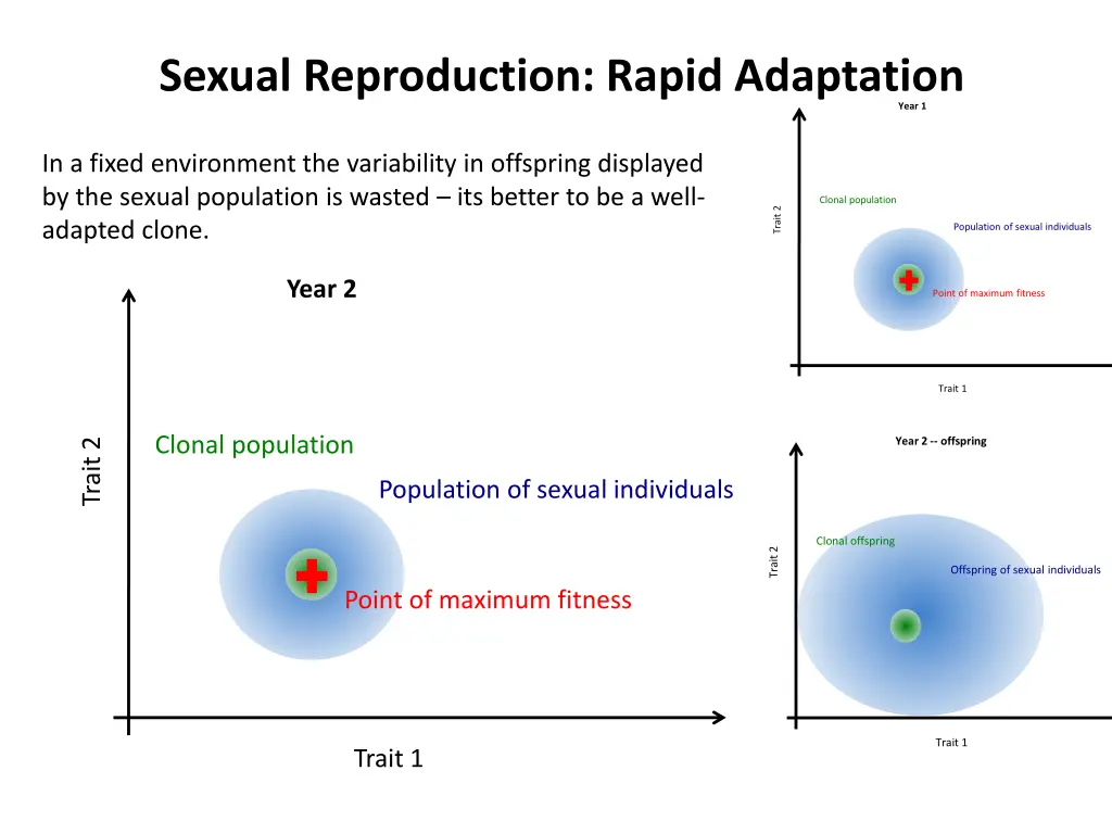 sexual reproduction rapid adaptation 2