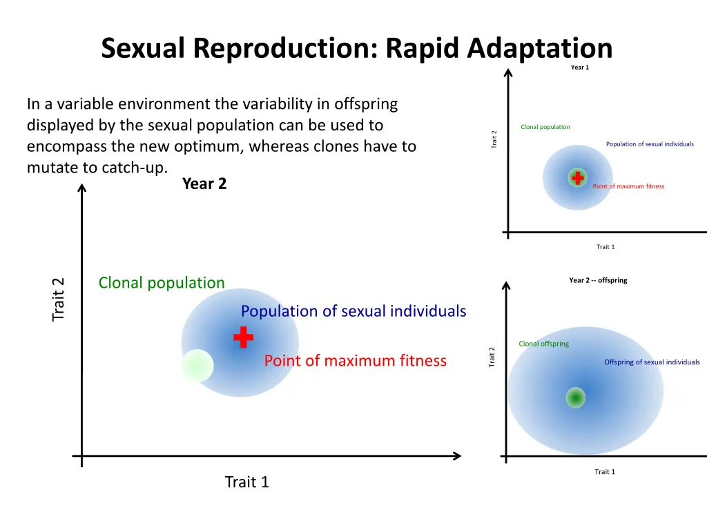 sexual reproduction rapid adaptation 5