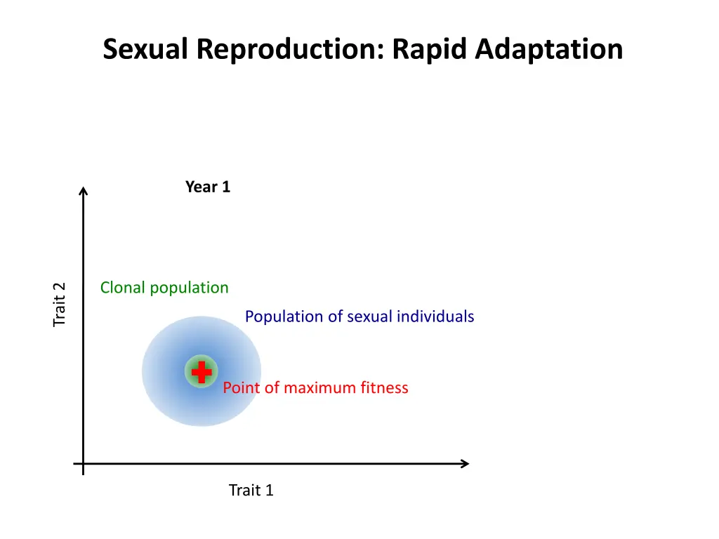 sexual reproduction rapid adaptation