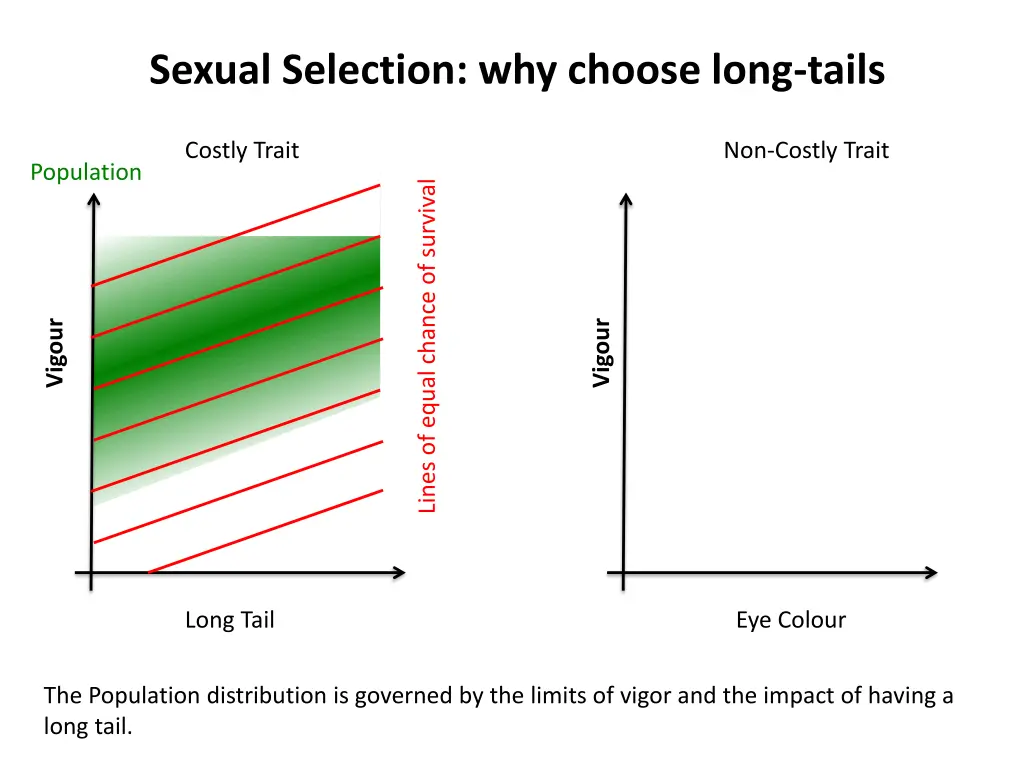 sexual selection why choose long tails 1