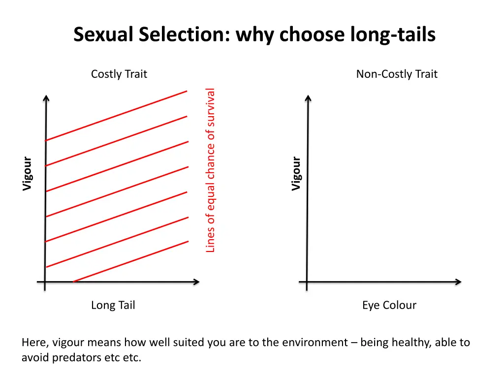 sexual selection why choose long tails