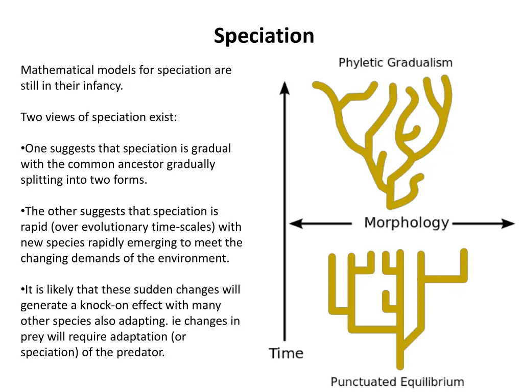 speciation