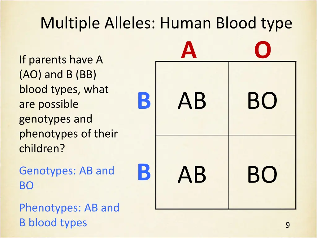 multiple alleles human blood type 1