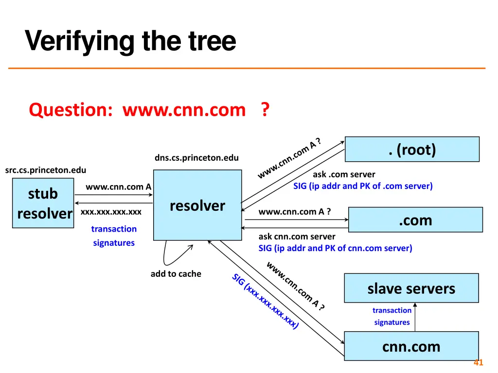 verifying the tree