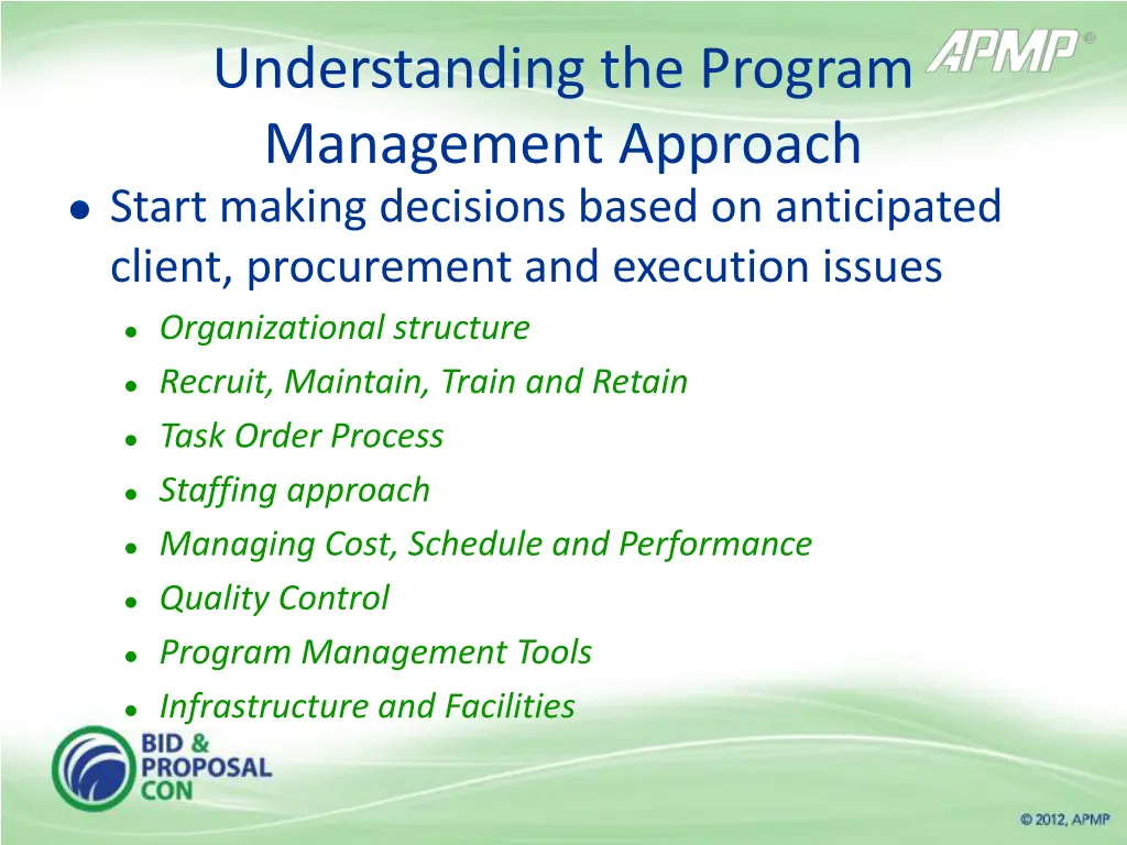 understanding the program management approach